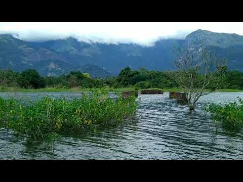 Malampuzha beautiful landscape shorts vibrant colours 1080p HD