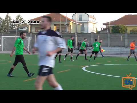 Sintesi Paina 2004 bianco - Bresso 4A