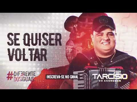 SE QUISER VOLTAR - Tarcísio do Acordeon - CD Diferente dos Iguais 2021