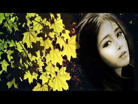 Thu tơ vương Sheet - Quang Minh