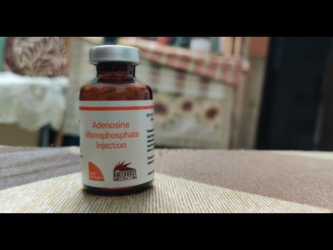 Racehorse Amp Orignal