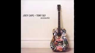 Joey Cape And Tony Sly - Stunt Double