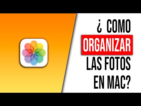 Organizador de fotos: guía completa para poner orden a tu fototeca