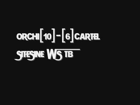 HİSAR MT2 ORCHI WS CARTEL SİTESİNE KARARGAH GG
