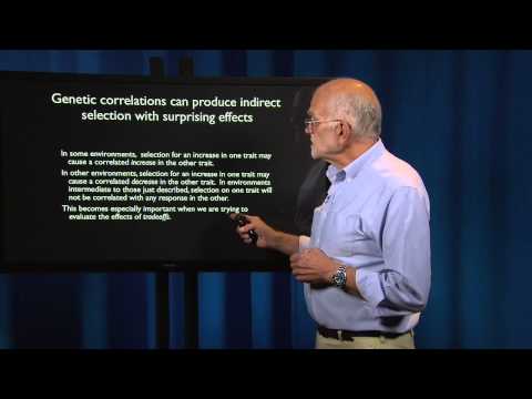 What is a Patient? Plasticity and Reaction Norms