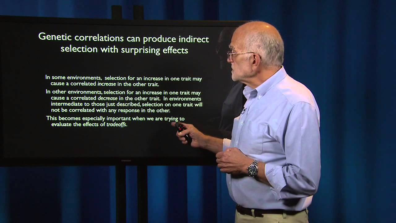 What is a Patient? Plasticity and Reaction Norms