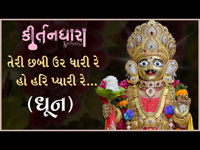 Teri Chhabi Uar Dhari Re Ho Hari Pyari Re...