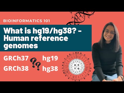 What is hg19/hg38? - All you need to know about human reference genomes | Bioinformatics 101