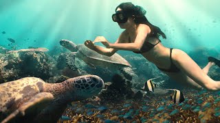 Download lagu Raja Ampat, Indonesia - Our adventure of a lifetime mp3