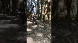 哈雷SERIAL 1 電動腳踏車E-MTB 「司馬限林道」