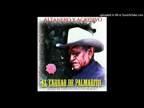 08. Sabanas De Cunaviche - El Carrao De Palmarito
