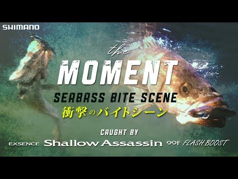 【シマノ】EXSENCE Shallow Assassin 99F FLASH BOOST シーバスバイトシーン