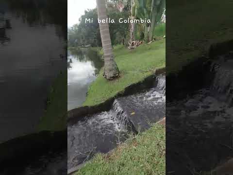 restaurante los lagos pescadería colombiana ,somondoco boyaca