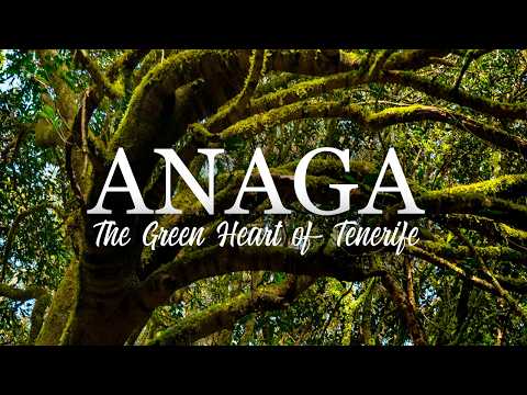 Anaga, Tenerife – The Green Heart of the Canary Islands | Best Viewpoints & Hikes