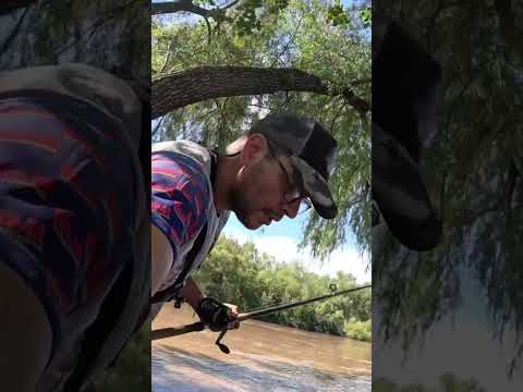 Pesca de Dorados y Bagres en el río gastona. Atahona, Tucumán. #pesca #pez #rio #dorados #argentina