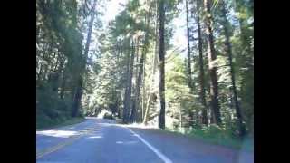 Dead Man&#39;s Bones &#39;Paper Ships&#39; drive through the California Redwoods