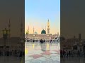 Masjid Al Nabwi In Iftar Today Madina​ Masjidnabawi​ Masjid​ Iftar​ Ytshorts​ Shorts​ Be