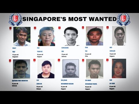 Pbpp Most Wanted