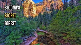 Hiking West Fork Trail: 13 Creek Crossings & Canyon Walls