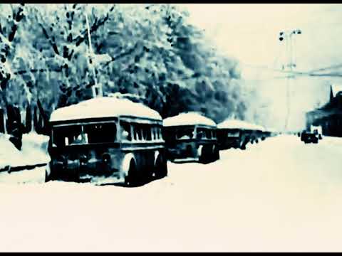 Majdanek Waltz - Зимний сад (Official video)