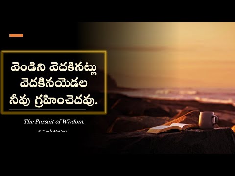 వెండిని వెదకినట్లు వెదకినయెడల నీవు గ్రహించెదవు|The Pursuit of Wisdom| Bro. Abhishek /Telugu proverbs TRUTH MATTERS