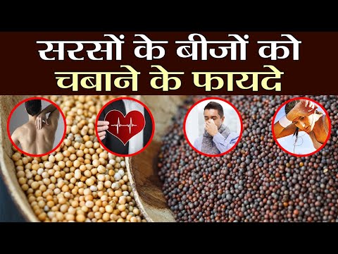 Mustard seeds: benefits of chewing it raw