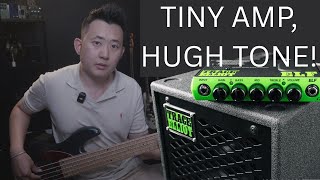Is the Trace Elliot ELF the Best Mini Bass Amp Ever? Full Review + Sound Test
