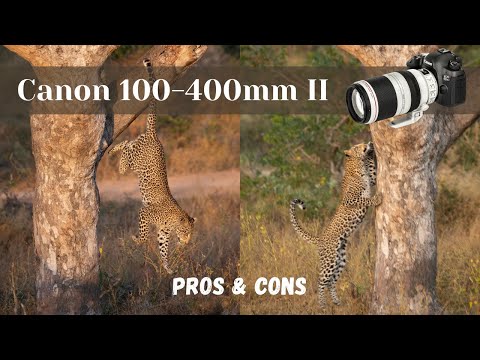 „Canon EF 100-400mm f/4.5-5.6L IS II USM“ objektyvas video