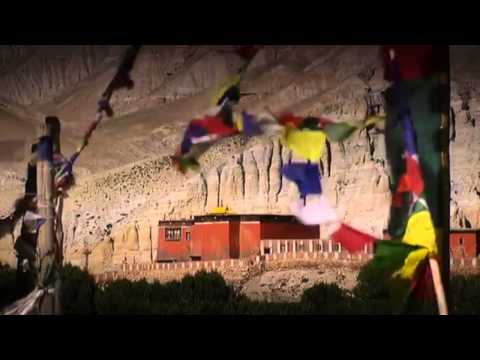 THE ROAD - Foreign Correspondent