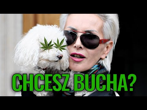 RAMONAGATE: CZY KORA PALIŁA ZIOŁO?