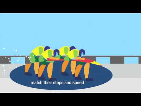 精密的團隊合作 (Precision Teamwork)