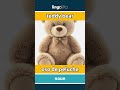 teddy bear - oso de peluche video thumbnail