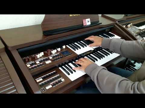 Orgão Eletrônico Tokai MD-20 - Loja Teclasom