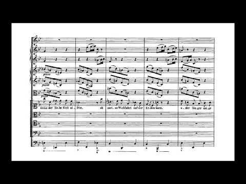 SP's score videos