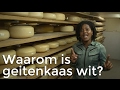 Waarom is geitenkaas wit? | Het Klokhuis