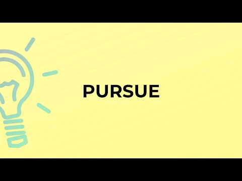 What is the meaning of the word PURSUE?