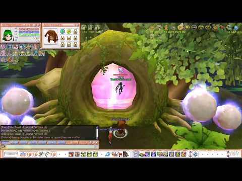 Ignite Flyff E35 - The last Wilds Run