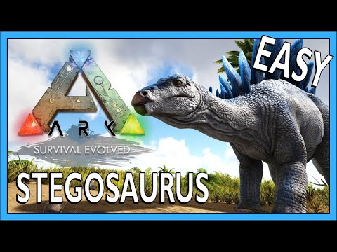 How To Tame A Stegosaurus In Ark Survival Evolved