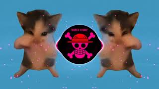 Download lagu DJ KICAU KICAU KICAU MANIA SLOW VIRAL TIKTOK FULL SONG MAMAN FVNDY 2026  mp3