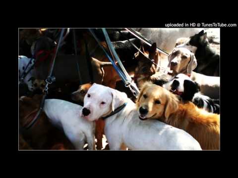 Today's Tango Is... Corazón Pa' Los Perros - Edgardo Donato 12-07-1930