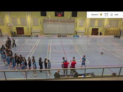 BBU - SalBa P19 SM 08.02.2026