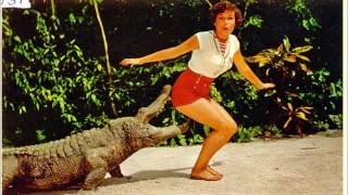 Dean Martin   Nobody&#39;s baby again