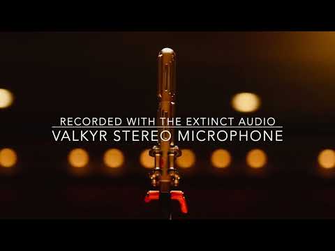 Ex Cathedra - Conducted by Jeffrey Skidmore.