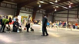 Renaissance April 8-12 017.avi