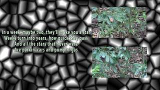 Dionne Warwick - Do You Know The Way To San Hose (1968) [HIGH QUALITY COVER VERSION]