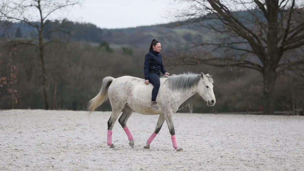 How to ride a horse without equipment - by your mind