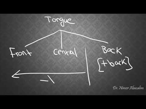 PHONETICS-7: Describing English Vowels