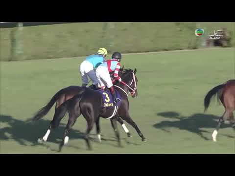 2020 菊花賞 Kikuka Sho 鐵鳥翱天 Contrail コントレイル 福永祐一