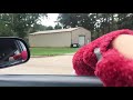 CM Elmo Can Fly