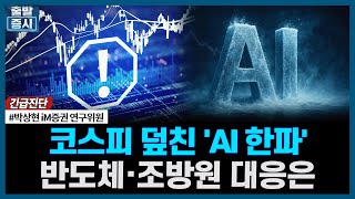 코스피 덮친 'AI 한파', 반도체·조방원 대응은ㅣ#엔비디아 #환율